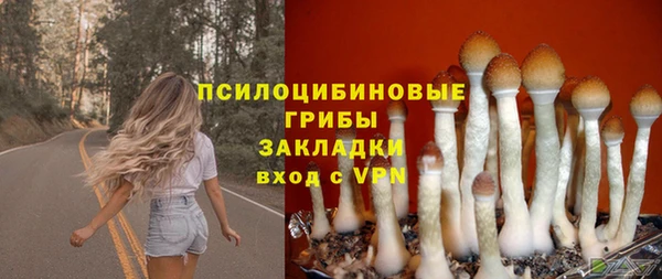 MESCALINE Козельск