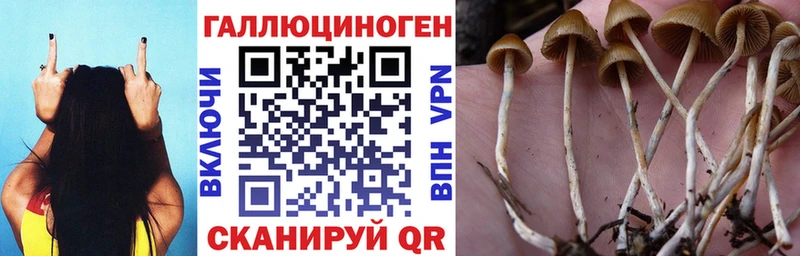 Галлюциногенные грибы мухоморы  Купить  Ува 